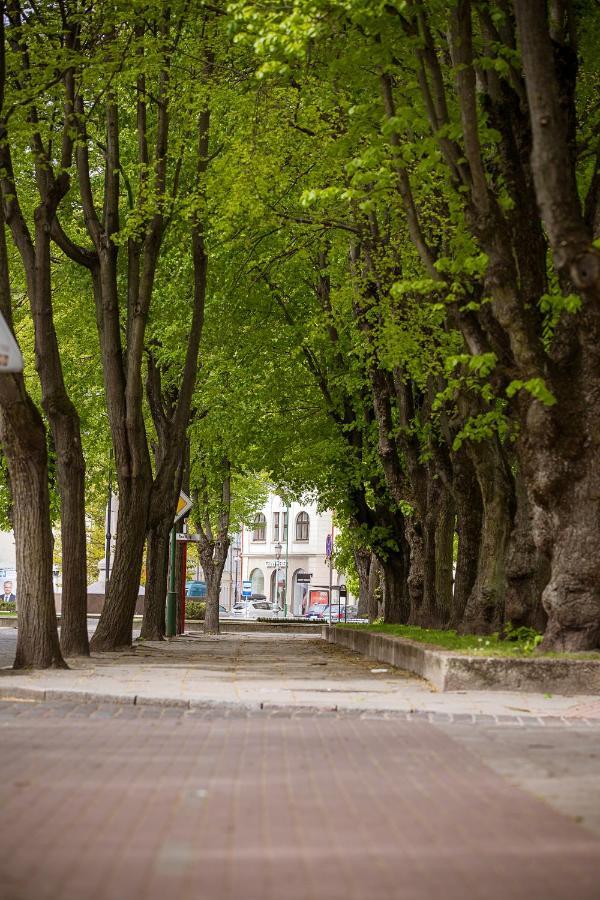 Апартаменты Dvieju Kambariu Butas Klaipedos Centre Клайпеда Экстерьер фото